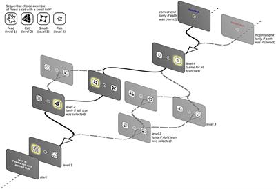 Modeling Search Behaviors during the Acquisition of Expertise in a Sequential Decision-Making Task